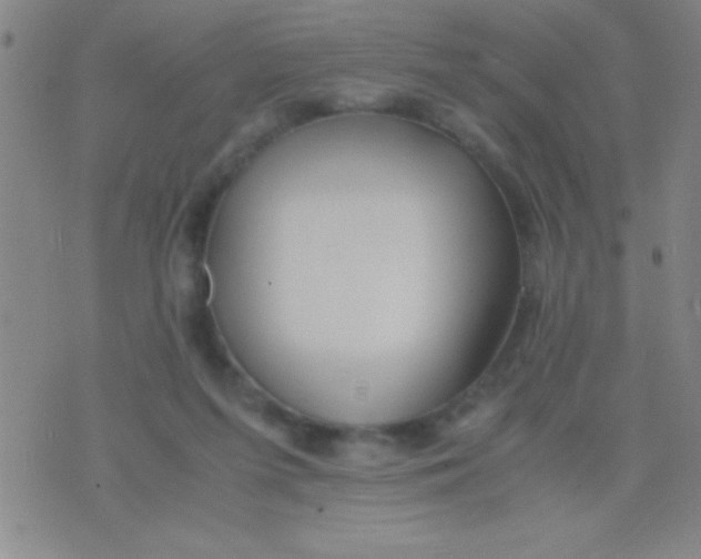 X0000075840215200610061855