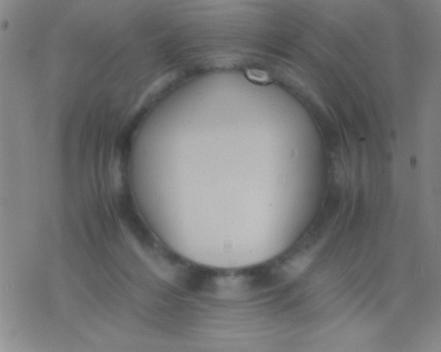 X0000075840216200610061855