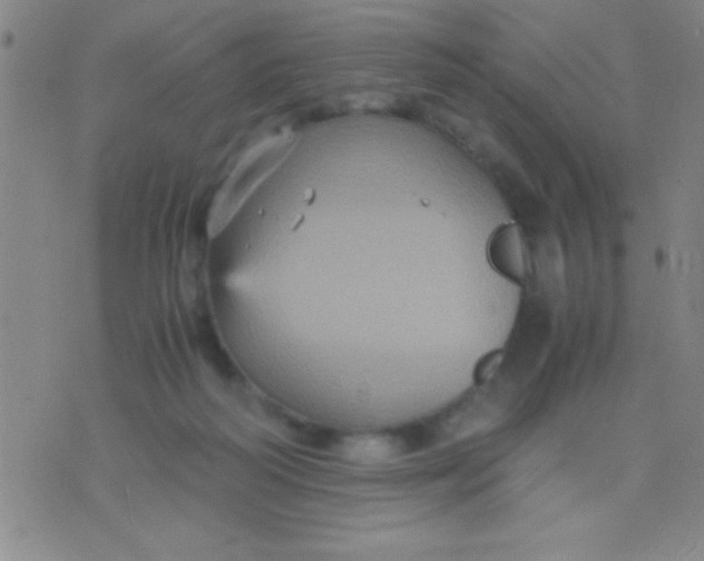 X0000075840218200610061855