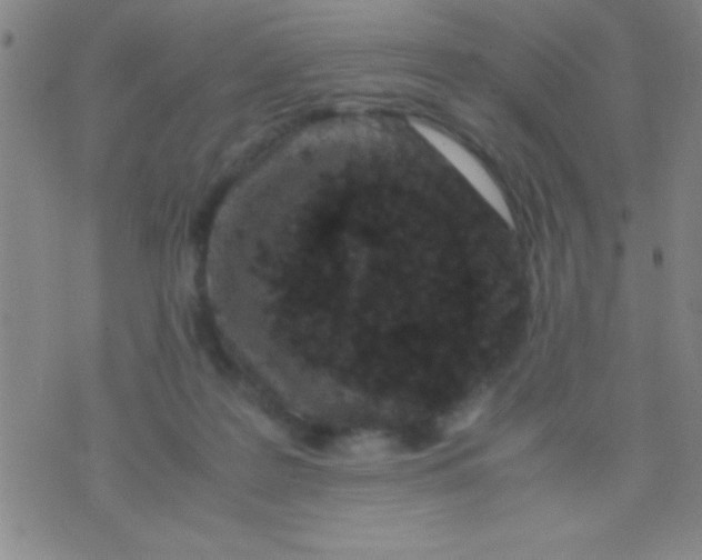 X0000075840219200610061855