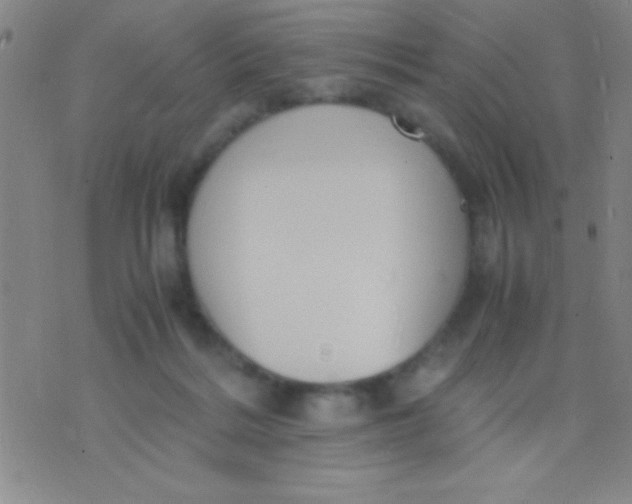 X0000075840220200610061855