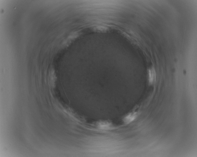 X0000075840223200610061855