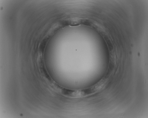 X0000075840225200610061855