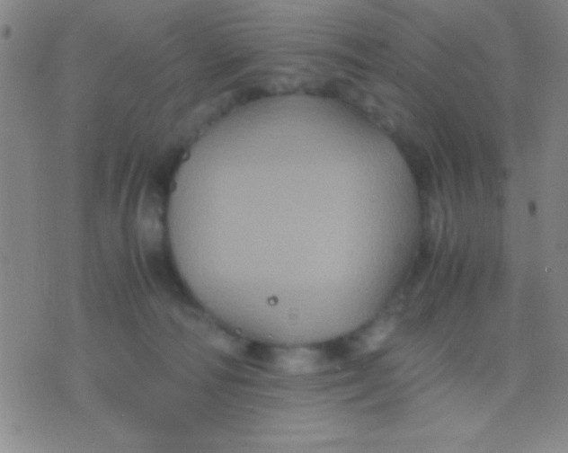 X0000075840226200610061855