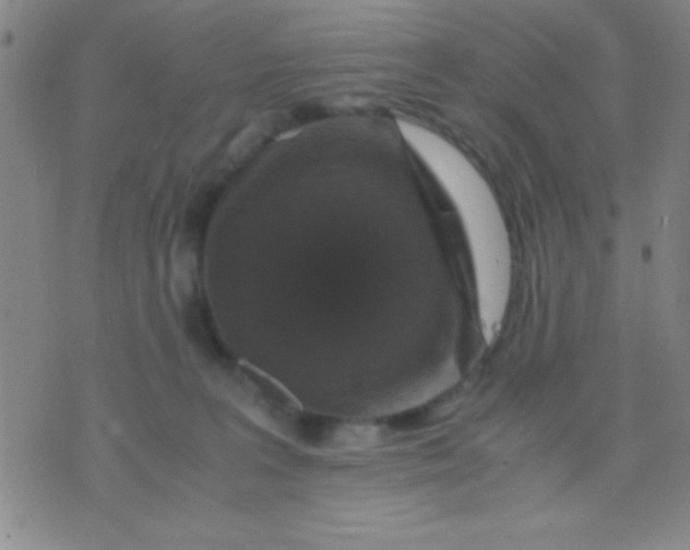 X0000075840227200610061855