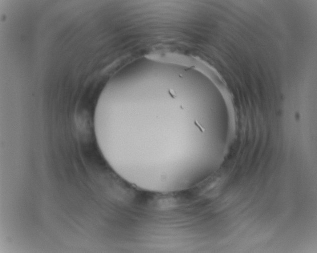 X0000075840228200610061855