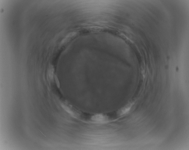 X0000075840231200610061855