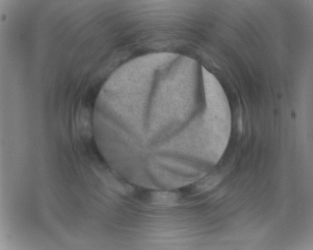 X0000075840234200610061855