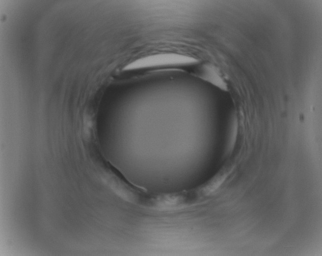 X0000075840235200610061855