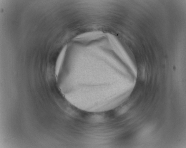 X0000075840236200610061855