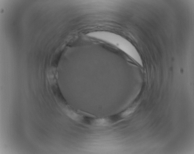 X0000075840237200610061855