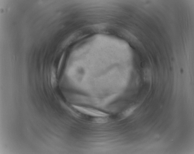 X0000075840238200610061855