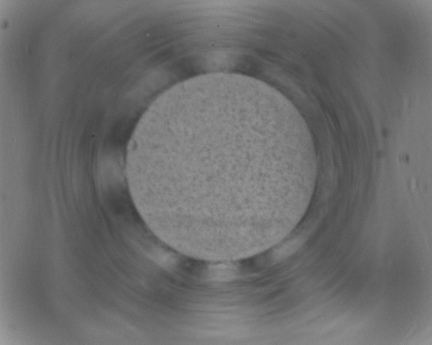 X0000075840240200610061855