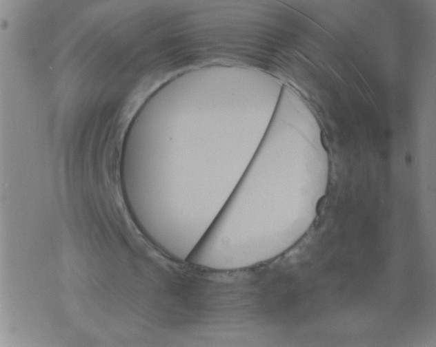 X0000075840241200610061854