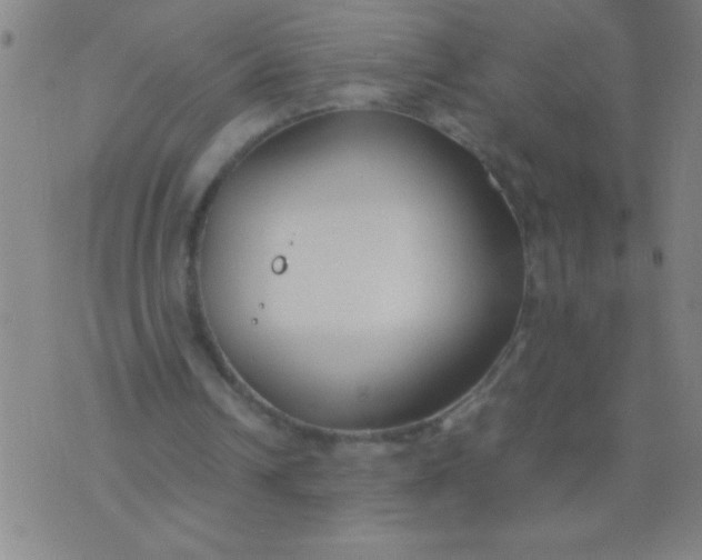 X0000075840242200610061854