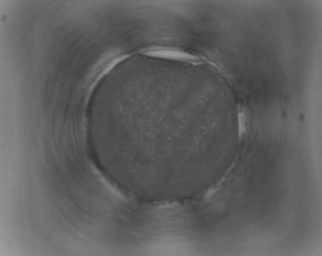 X0000075840243200610061854