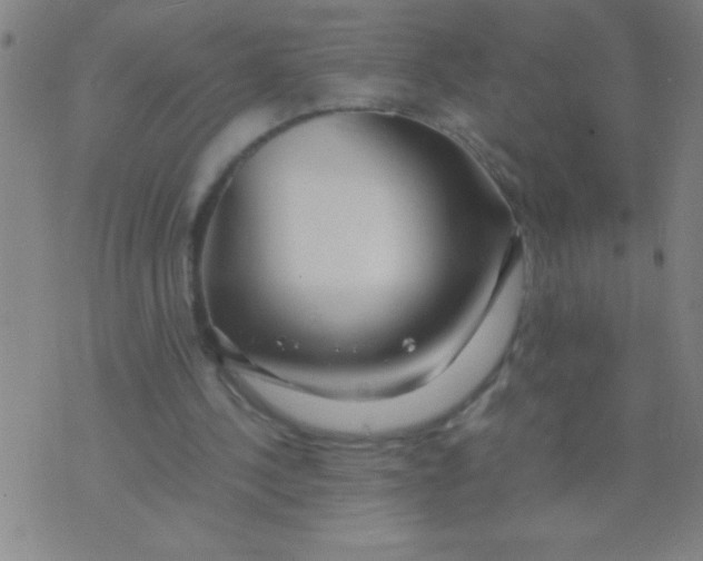 X0000075840244200610061854