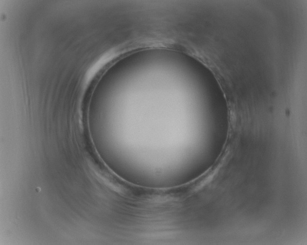 X0000075840246200610061854