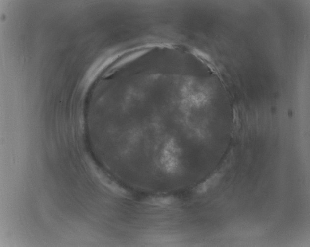 X0000075840247200610061854