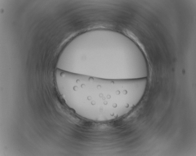 X0000075840249200610061854