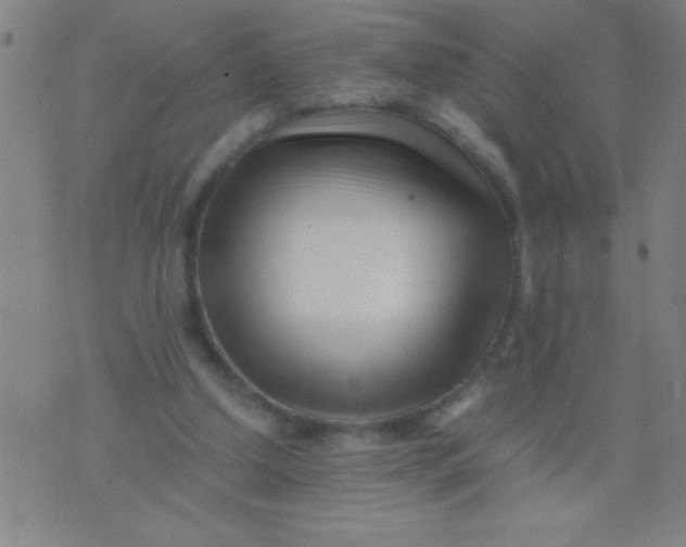 X0000075840250200610061854