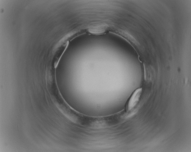 X0000075840252200610061854