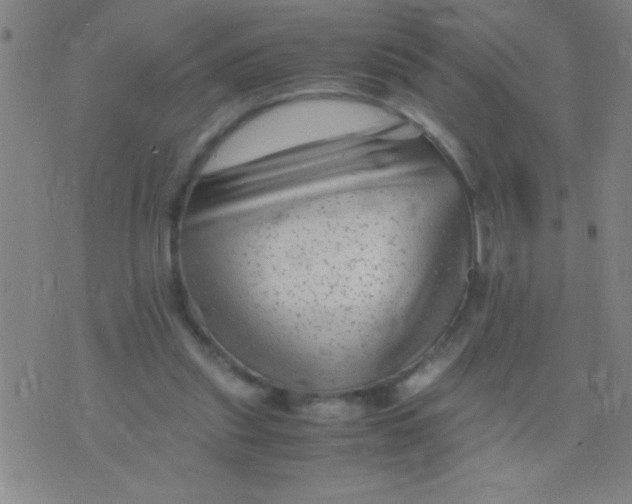 X0000075840253200610061854