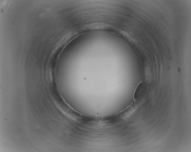 X0000075840254200610061854