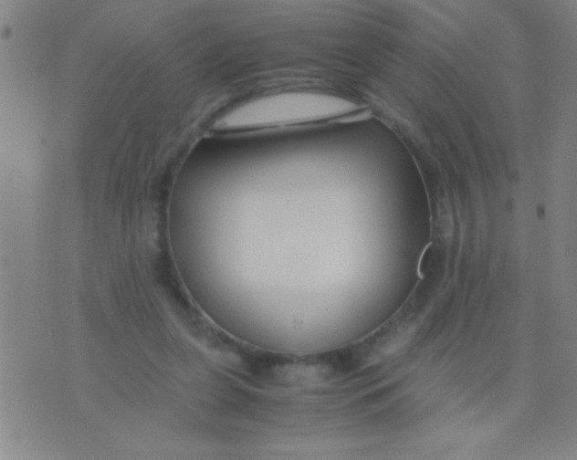 X0000075840255200610061854