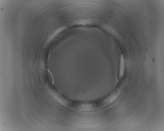 X0000075840256200610061854