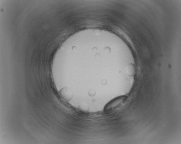 X0000075840257200610061854