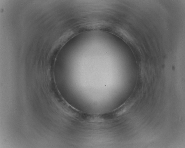 X0000075840258200610061854