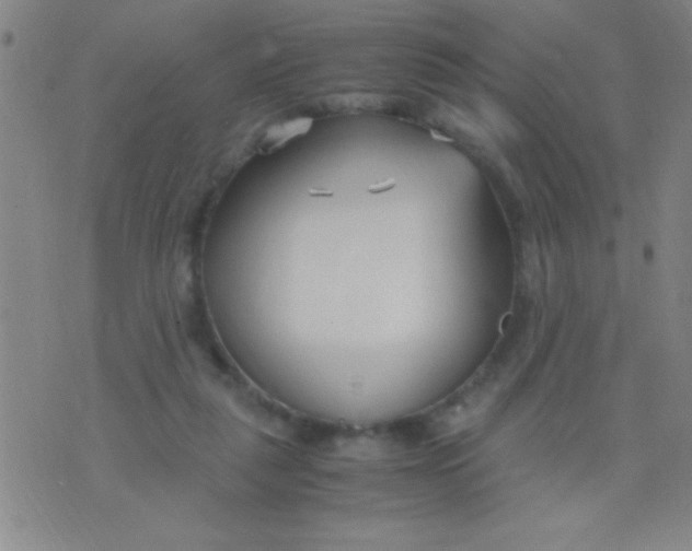 X0000075840259200610061854