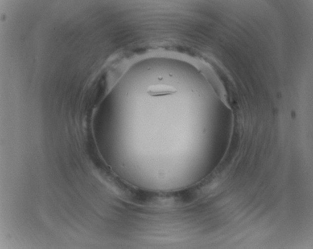 X0000075840260200610061854