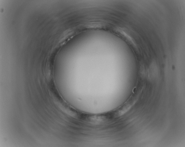 X0000075840261200610061854