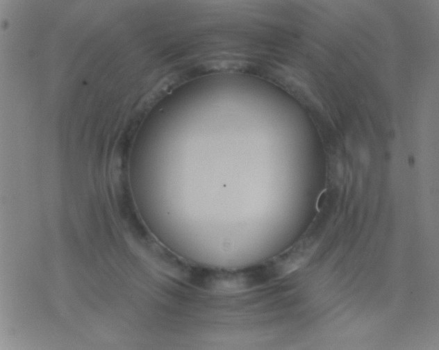 X0000075840263200610061854