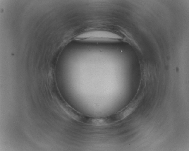 X0000075840265200610061854