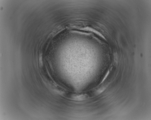 X0000075840267200610061854