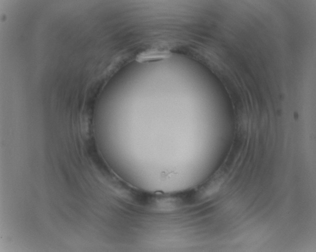 X0000075840268200610061854