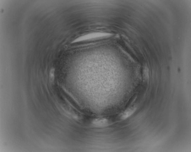 X0000075840271200610061854