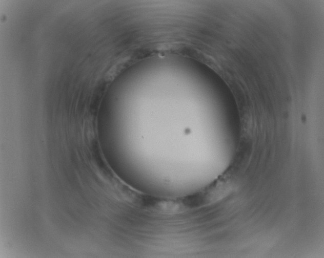 X0000075840272200610061854