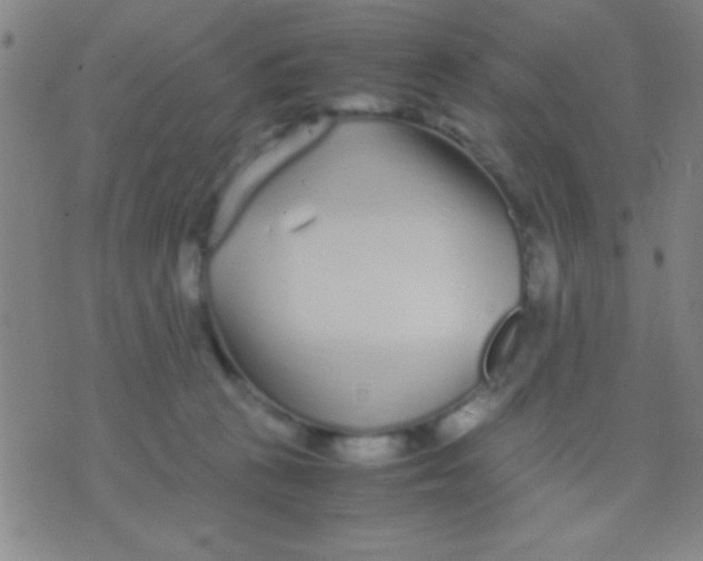 X0000075840273200610061854