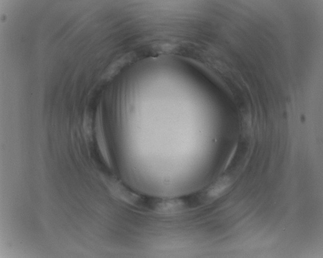 X0000075840274200610061854