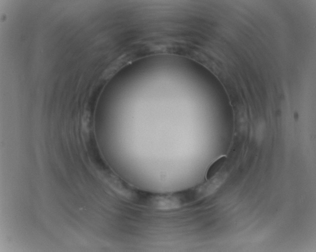 X0000075840275200610061854