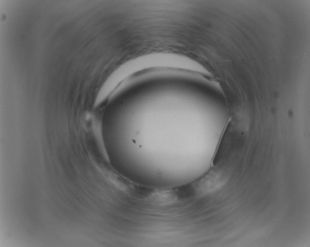 X0000075840280200610061855