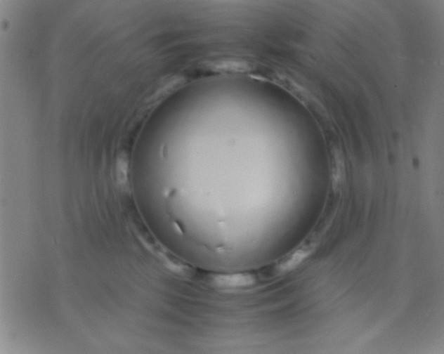 X0000075840281200610061855