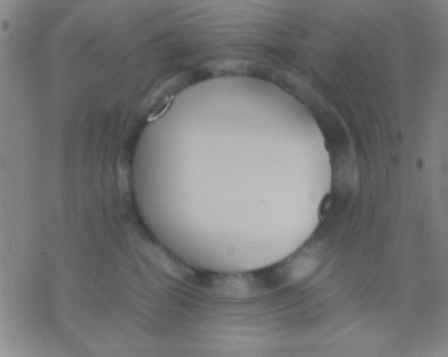 X0000075840282200610061855