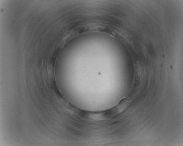 X0000075840283200610061855