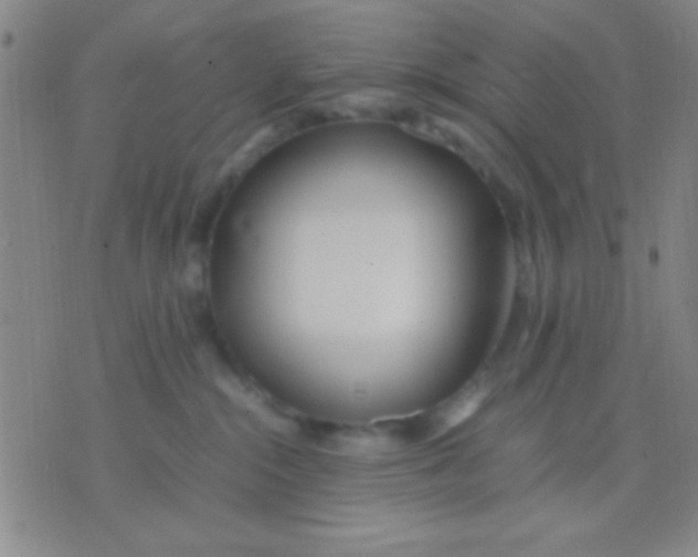 X0000075840284200610061855