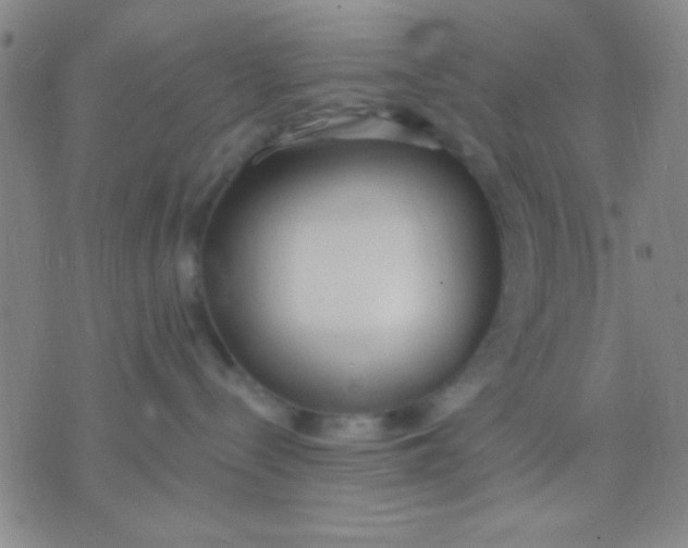 X0000075840288200610061855